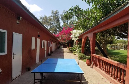 Laghdira Bed & Breakfast | Ferme hippique Chtouka