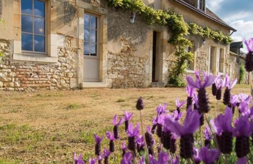 Bazouges-sur-le-Loir House | Ferme restaurée près Zoo de La Flèche, 200m², 8 pers, terrasse, nature et repos - FR-1-410-230
