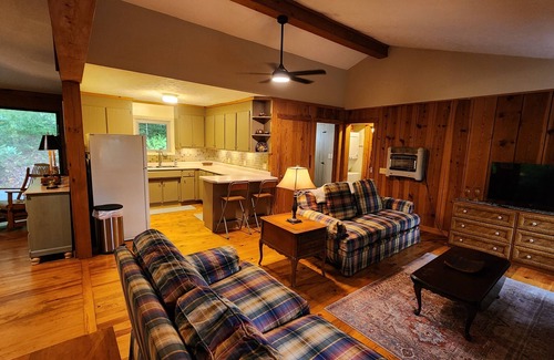 Brevard Cabin | Fern Hill Cabin - near Dupont State Forest