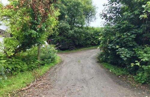 Skibbereen House | Fernery Garden cottage, near Skibbereen