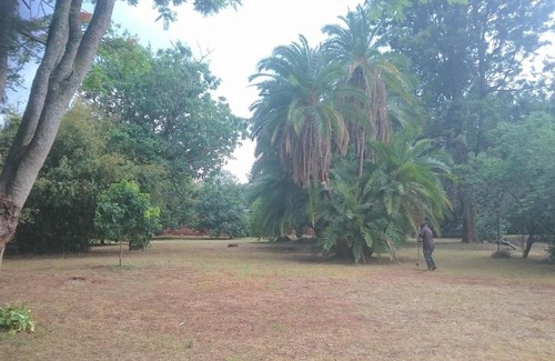 Harare House | Fernleigh Cottage