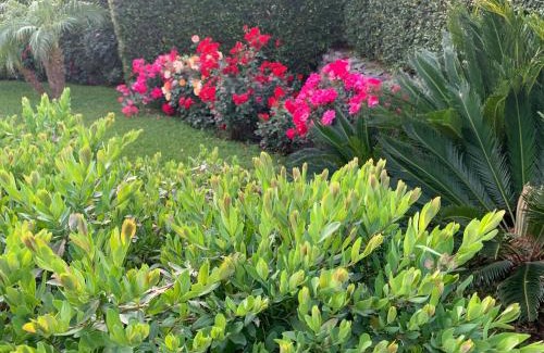 Fiumefreddo di Sicilia Bed & Breakfast | Feudogrande Bio Relais Hotel
