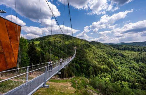 Todtnauberg Apartment | Fewo 2 - Residenz Schauinsland -Sauna, E-Ladestation, Schauinsland- Todtnauberg, Liftverbund Feldberg