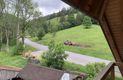 Todtnau Apartment | Fewo 6 - Thoma, Haus Wiesengrund-fahl
