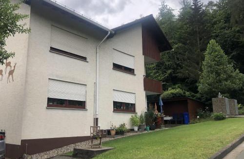 Hemfurth-Edersee Apartment | Fewo Am Edersee