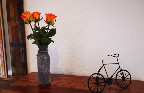 Naumburg Apartment | FEWO evening sun in the city center with parking and quiet