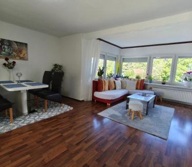 Oker Apartment | FeWo Goslar Harz
