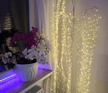 Oker Apartment | FeWo Goslar Harz
