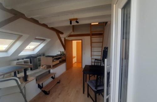 Flensburg Apartment | FeWo Grüne Linie mit Balkon-Parken-Wallbox-TV-KoNi