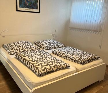 Lahr Apartment | FeWo Haus 4