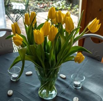 Litzendorf Apartment | FeWo Litzendorf