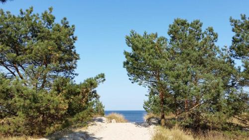 Karlshagen Apartment | Fewo Ostseeperle 14 QUAP