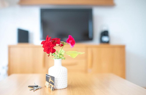Bad Saeckingen Apartment | Fewo Schneckenhalde App 12