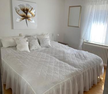 Lahr Apartment | FeWo Sulzbachtal, Nähe Europa-Park, Rulantica, Schwarzwald, Feldberg