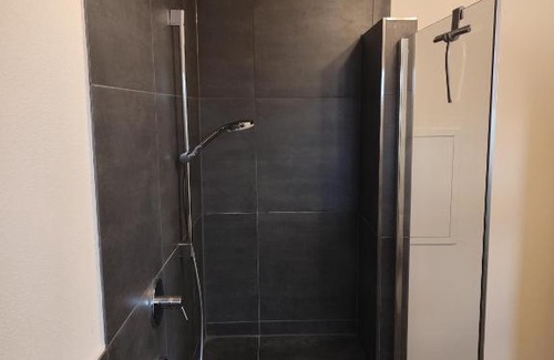 Bad Buchau Apartment | Fewo Wellfit