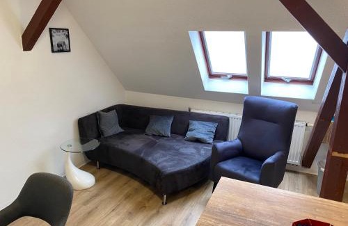 Plauen Apartment | FeWo WIEKO Plauen Leibnizstr. H1, DG rechts