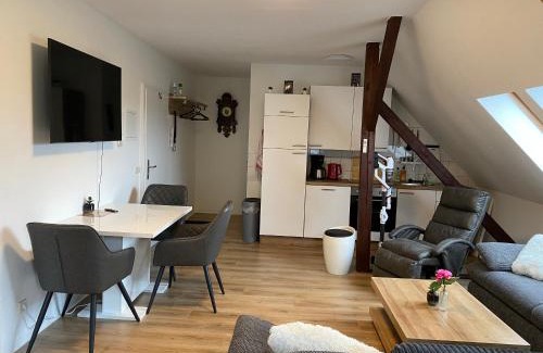 Plauen Apartment | FeWo WIEKO Plauen Leibnizstr. H1 DG Mitte