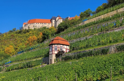 Naumburg Apartment | FEWO with large garden