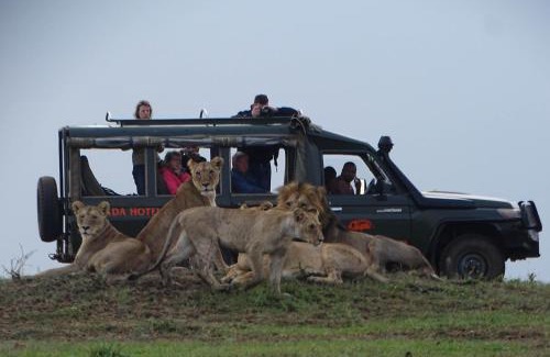 Keekorok Other | Fig Tree Camp - Maasai Mara