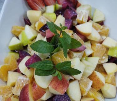 Dana Hotel | Fig Tree Hotel