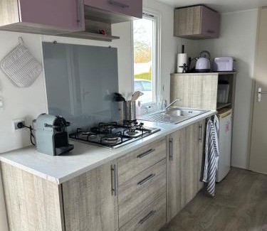 Gasselte Other | Figaro - Gasselte, Drenthe