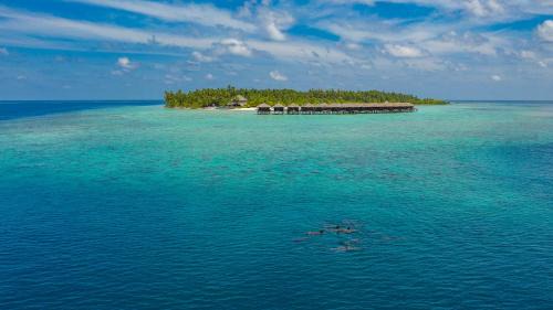 Filitheyo Resort | Filitheyo Island Resort
