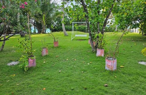 Filitheyo Resort | Filitheyo Island Resort