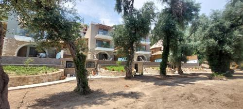 Anthousa Villa | Filoxenia Olive Garden luxury villas and suites
