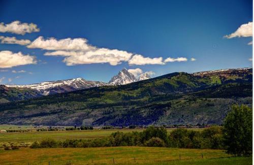Victor Bed & Breakfast | Fin and Feather Inn