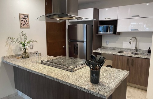 Providencia Apartment | Financial Upper Suite/Daily Clean