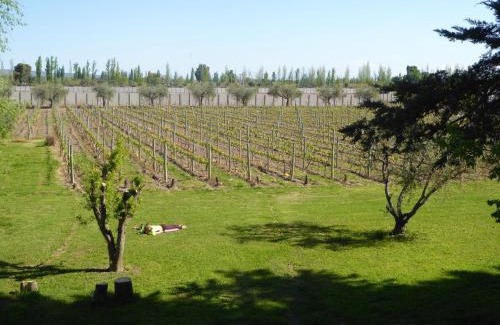 Maipu House | Finca Bravi