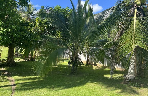 Cahuita House | Finca casa Blanca