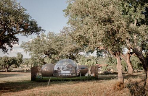Valencia de Alcantara Hotel | Finca El Cortiñal