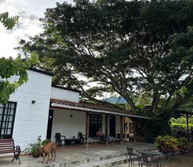 Roldanillo House | Finca el origen 2025
