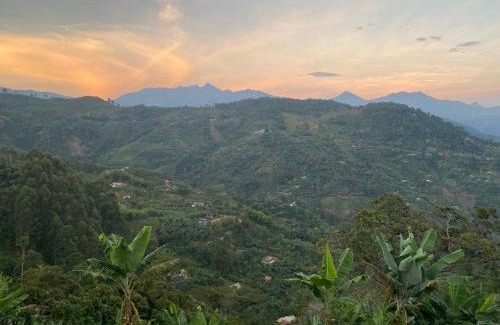 Zona Cafetera Villa | Finca La Arabia Jardín