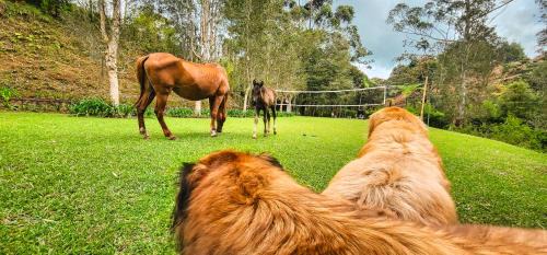 Retiro Villa | Finca La Hacienda