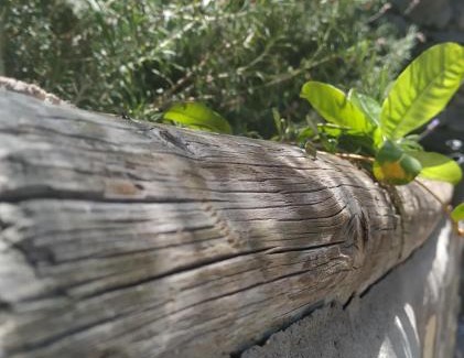 Valle Gran Rey House | Finca La Ladera