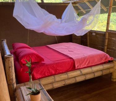 Buritaca Cabin | Finca La Selvita Chocolate experience