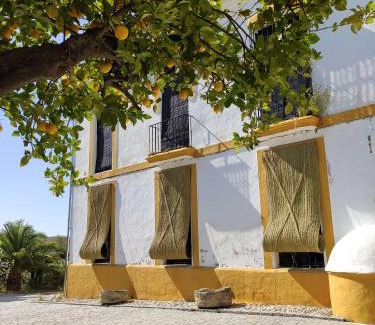 Villamartin Bed & Breakfast | FINCA LAS ROSAS DE SANTA ANA