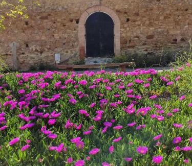 Villamartin Bed & Breakfast | FINCA LAS ROSAS DE SANTA ANA