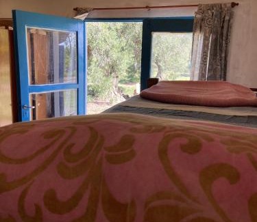 Cuadro Nacional House | Finca Macalicia