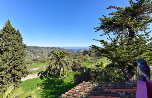 La Solana Cottage | Finca Madroñal with Pool in Gran Canaria
