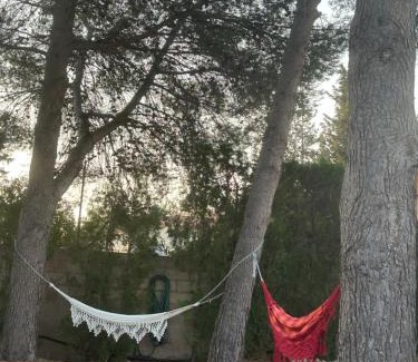 Turis Bed & Breakfast | Finca Malata