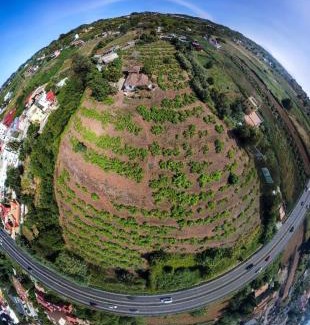 Tacoronte House | Finca Mamposo