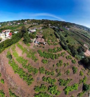 Tacoronte House | Finca Mamposo