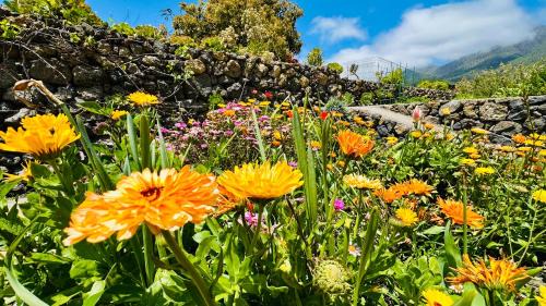 El Paso House | Finca Maracuya