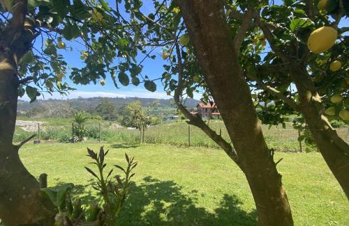 Ribadedeva House | Finca Robejones VV-511-AS
