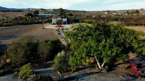 Valle de Guadalupe House | Finca Vidandrei CASA MAZAHUA
