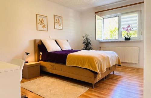 Illingen Apartment | FinkenBlick in Illingen Saar Dein Zuhause auf Zeit für kleine Familien Paare mit Hund und Monteure