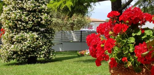 Umag Apartment | Fiori Apartment